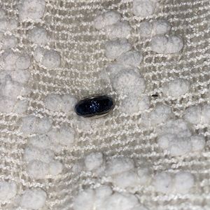 Navy blue Pandora charm